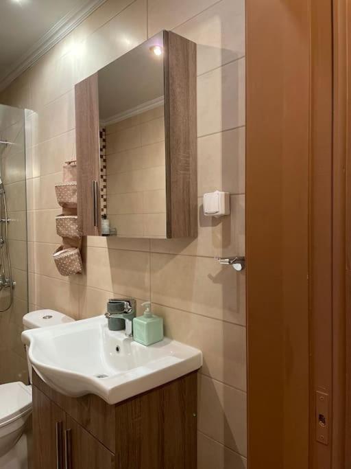 Politis' Wooden House Appartement Vasilikí Buitenkant foto